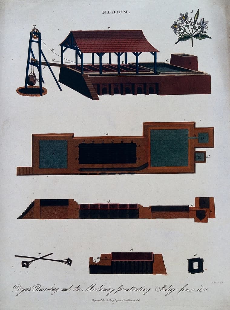 Cuves d extraction de l indigo, planche ancienne